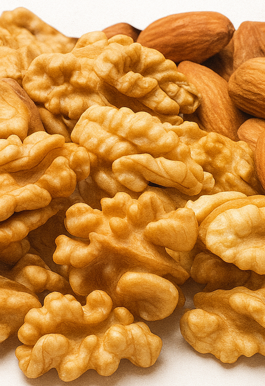 Nuez Mariposa Oscura