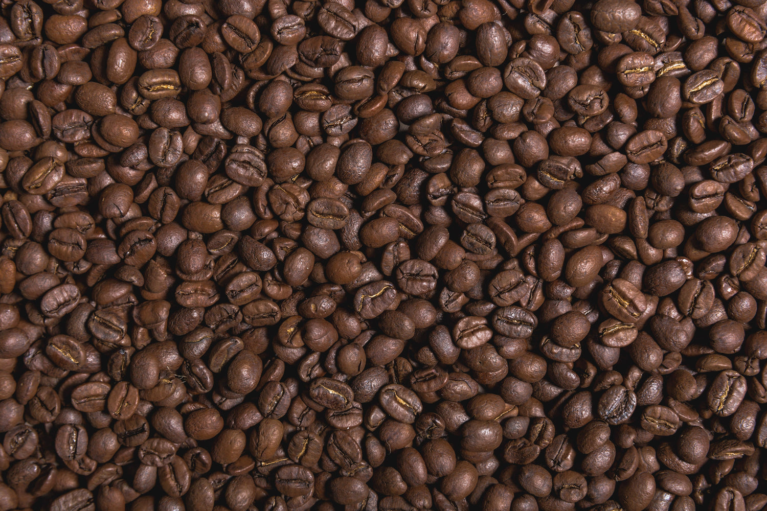 Variedades de Café ☕