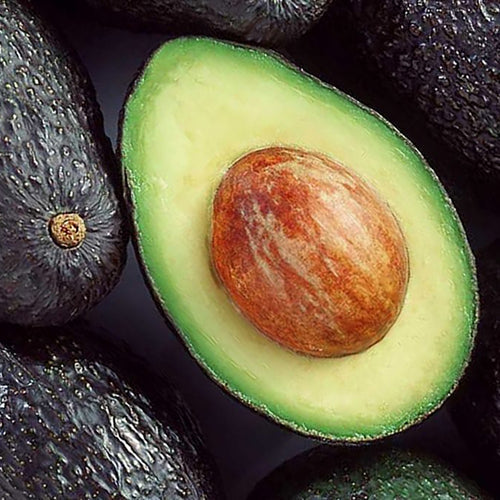 Paltas 🥑