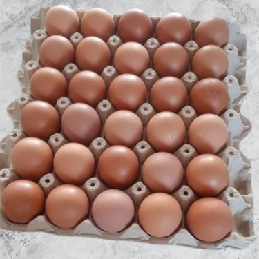 Huevos de Gallina de Campo - Huevos Extra